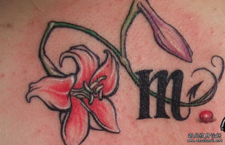 女性纹身图案:美女后背文字花卉纹身图案(精品)