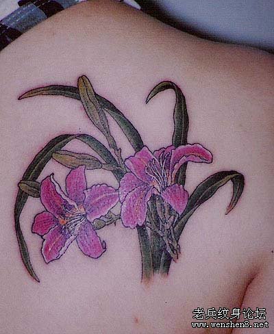 纹身秀图吧:后肩背百合文身图案图片