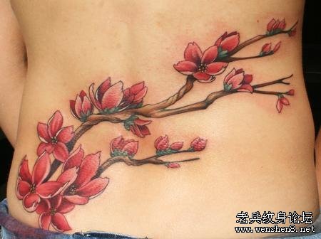文身:后腰樱花文身图案图片