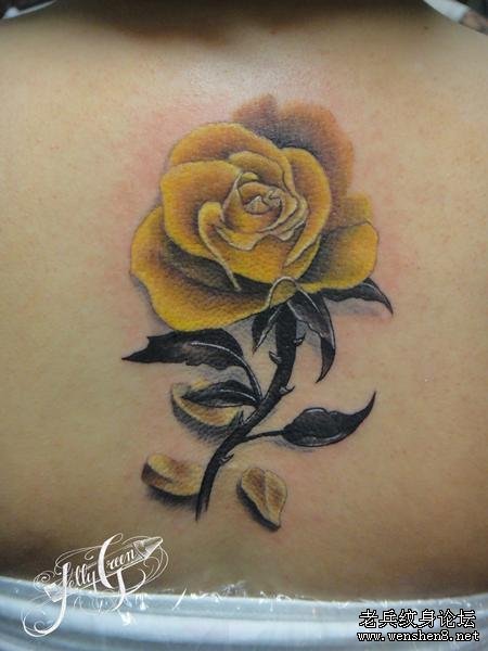 背部纹身图案:后背黄玫瑰纹身图案