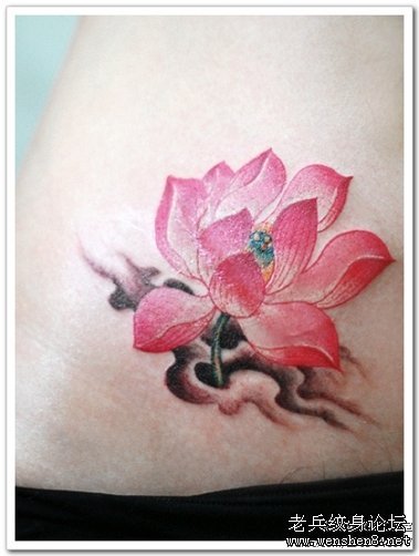莲花纹身图案：腹部彩色莲花纹身图案