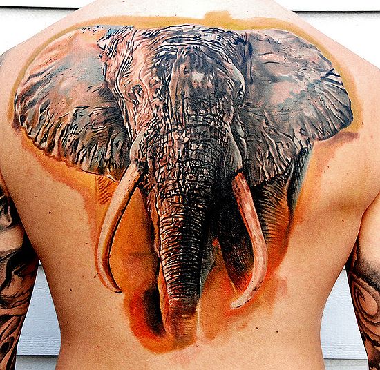 动物纹身图案:背部3D彩色大象纹身图案