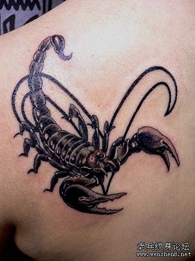 蝎子纹身图案：一款肩部蝎子纹身图案