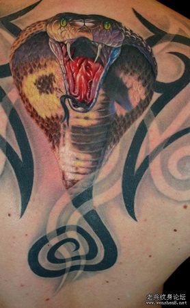 一款背部3D彩色蛇纹身图案