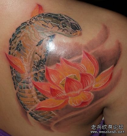 肩部3D彩色蛇莲花纹身图案