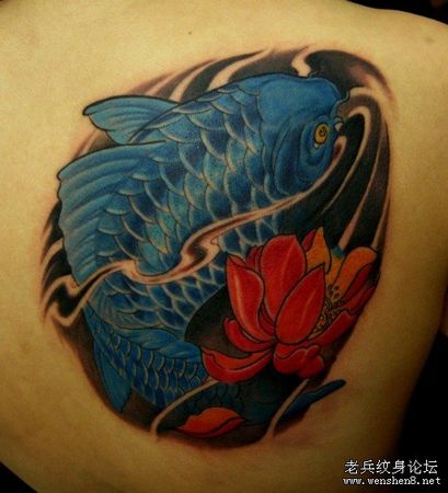 男人纹身图案：肩部彩色鲤鱼莲花纹身图案