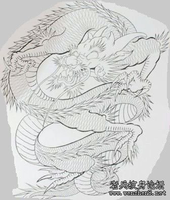 男人纹身图案：满背龙纹身图案
