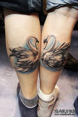 经典另类腿部情侣天鹅纹身图案