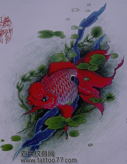 一款金鱼鲤鱼纹身手稿