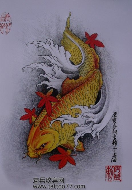 鲤鱼纹身手稿:锦鲤鲤鱼纹身手稿