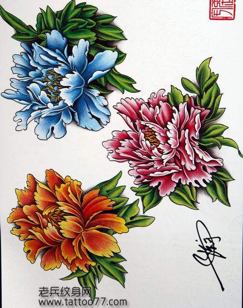 纹身手稿:彩色牡丹纹身手稿