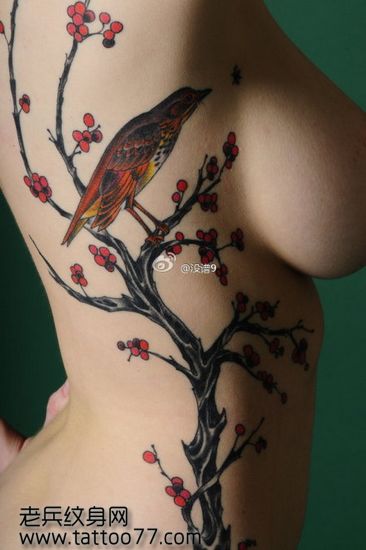 美女侧腰喜鹊梅花纹身图案