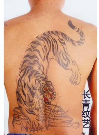 后背下山虎纹身图案-阜阳纹身秀图吧推荐