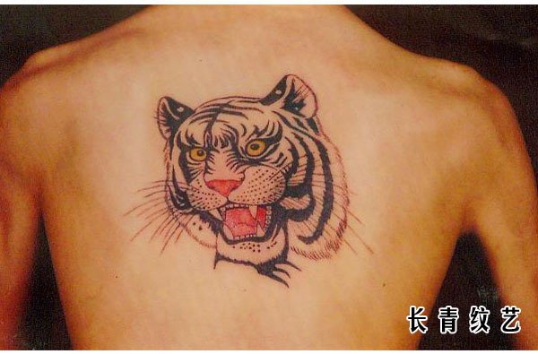 后背虎头纹身图案-阜阳纹身秀图吧推荐
