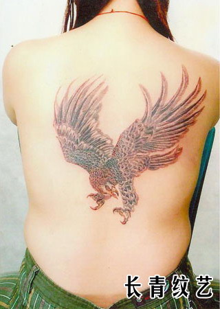 美女后背老鹰纹身图案-阜阳纹身秀图吧推荐