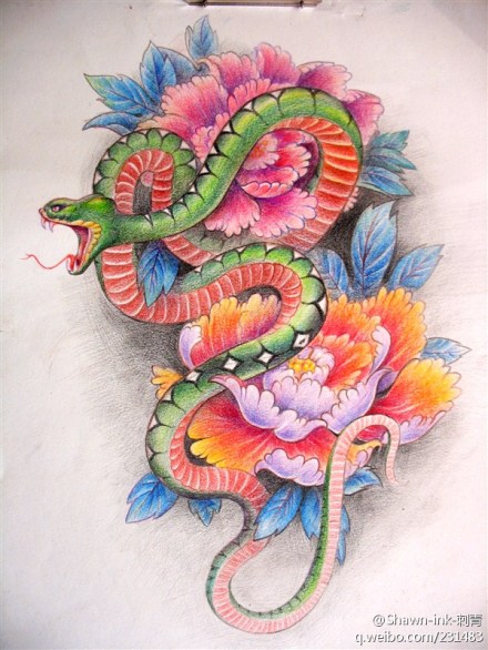 一款彩色蛇牡丹纹身手稿
