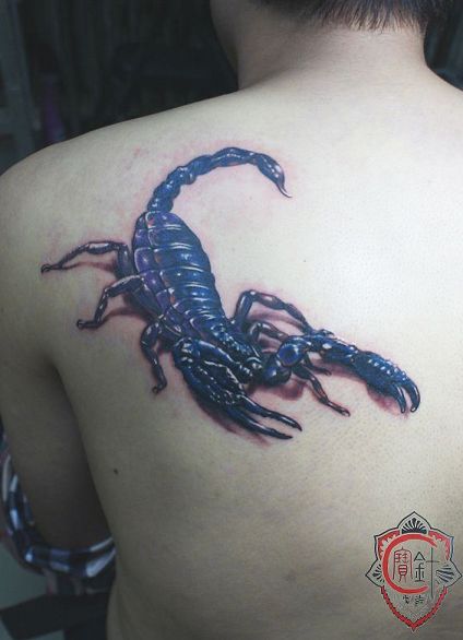 天津宝针刺青店纹身作品:蝎子纹身图案