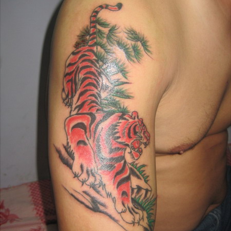 手臂下山虎纹身图案-蚌埠纹身秀图吧霞艺纹身推荐