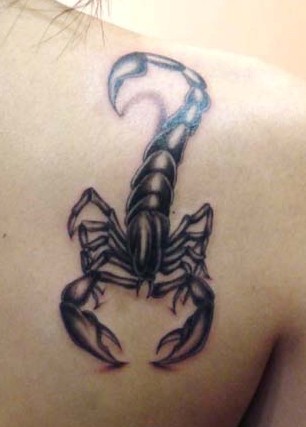 肩部蝎子纹身图案-蚌埠纹身秀图吧霞艺纹身推荐