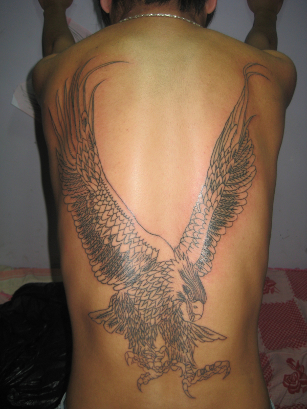 满背老鹰纹身图案-蚌埠纹身秀图吧霞艺纹身推荐