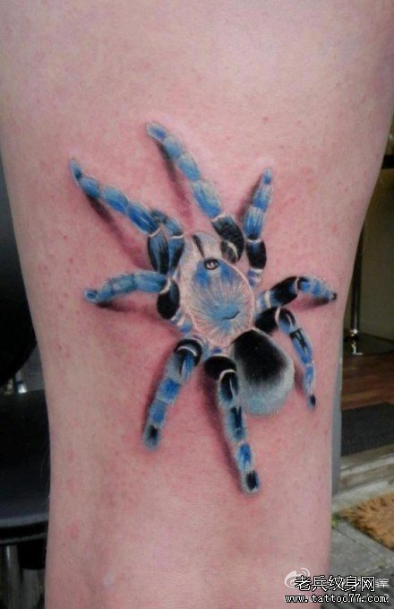 一款时尚好看的彩色蜘蛛纹身图案