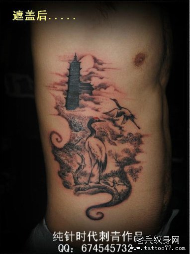 男人侧腰经典的仙鹤白鹤纹身图案