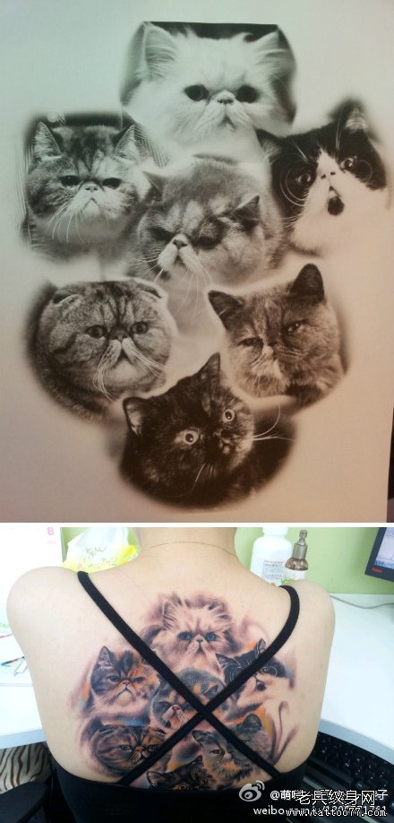 女生背部可爱时尚的猫咪纹身图案