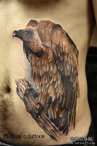 男人腹部一款经典的秃鹫纹身图案