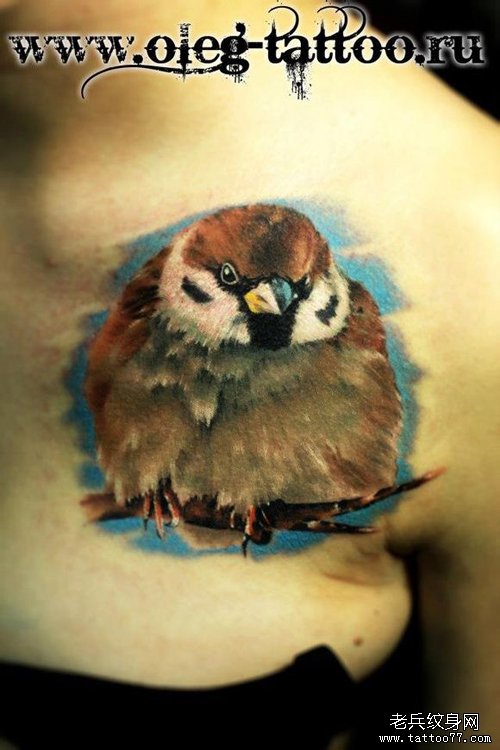 女人肩膀处时尚精美的小鸟纹身图案