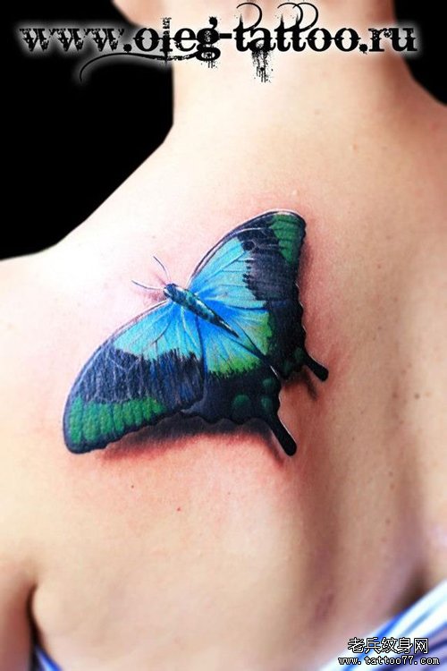 美女肩背漂亮时尚的彩色蝴蝶纹身图案