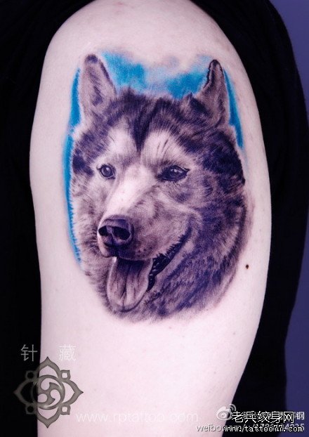 手臂帅气经典的小狗肖像纹身图案