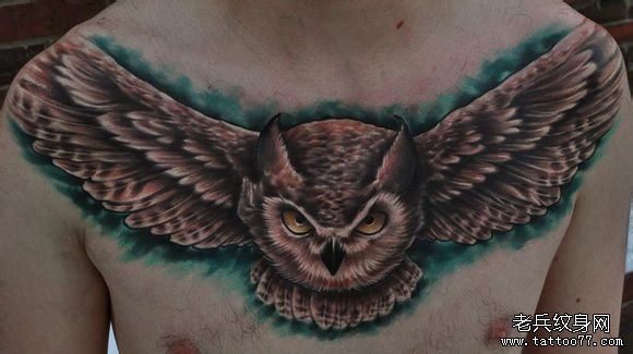 男人前胸超酷凶悍的猫头鹰纹身图案