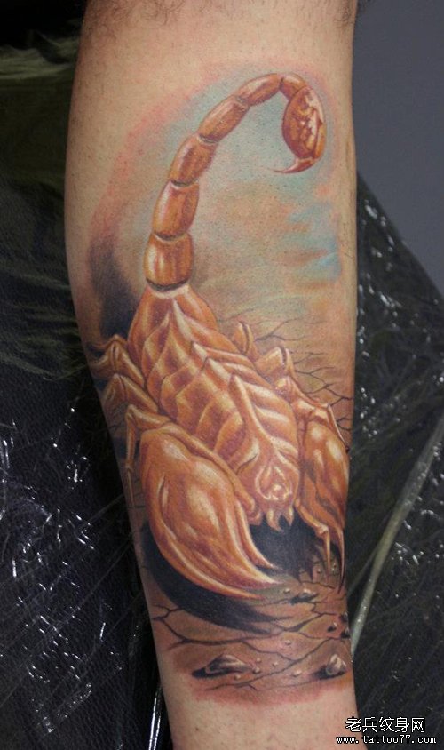 腿部时尚经典的欧美彩色蝎子纹身图案