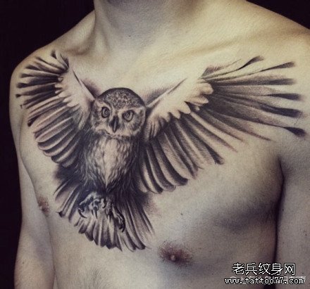 男人前胸超酷经典的黑灰猫头鹰纹身图案