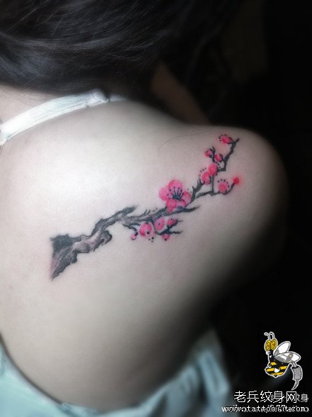 美女后肩背小巧唯美的梅花纹身图案缩略频道推荐图