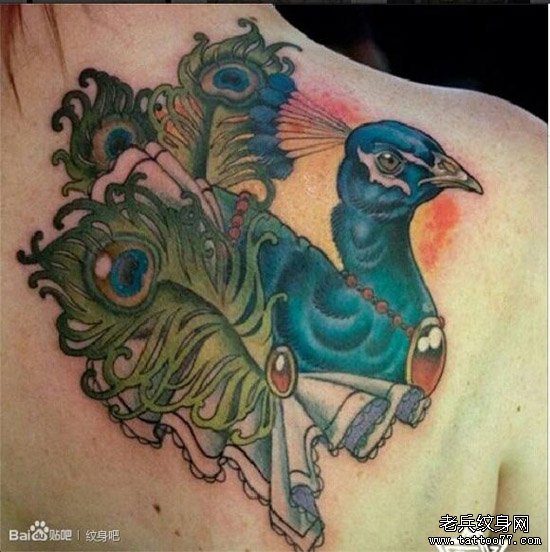 一款经典时尚的彩色孔雀纹身图案