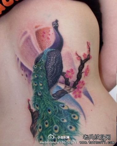 女人后腰漂亮的一款彩色孔雀纹身图案