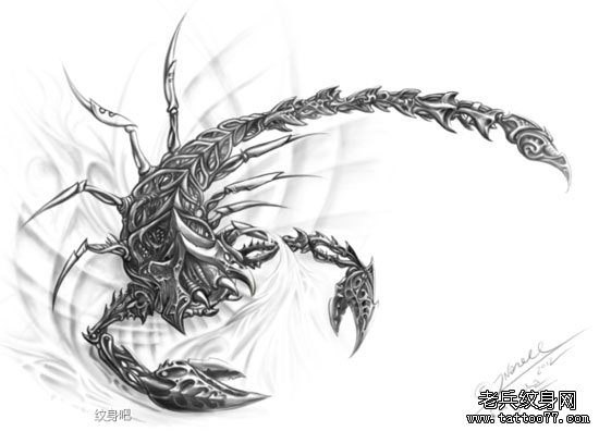 一款很酷帅气的欧美蝎子纹身手稿