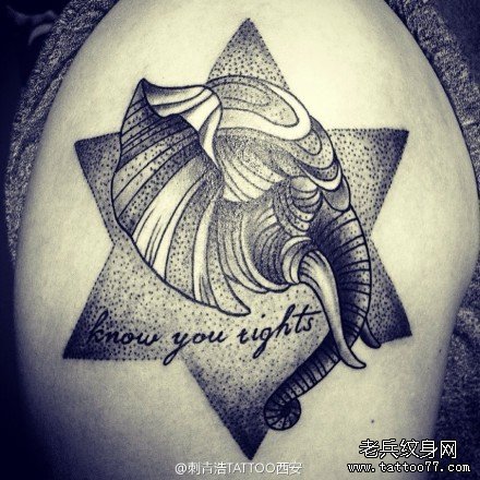 手臂很酷经典的大象纹身图案