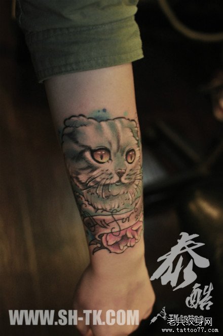 手臂潮流可爱的猫咪纹身图案