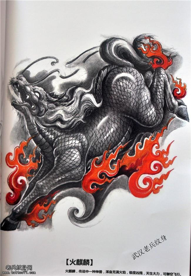 包腿包臂火麒麟手稿纹身图案