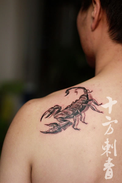 长沙十方刺青纹身秀图吧作品:肩部蝎子纹身