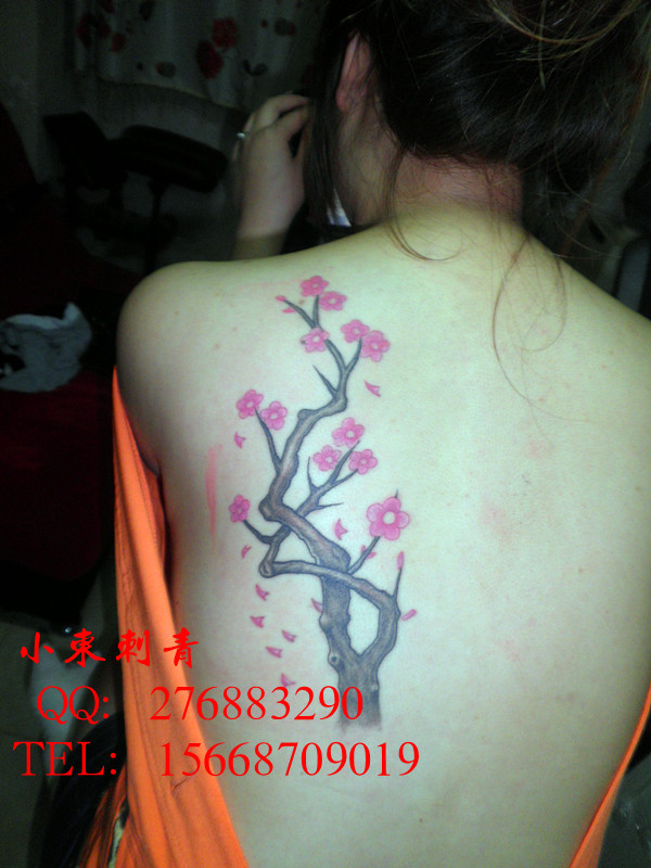 天津小东纹身秀图吧作品:美女后背梅花纹身图案