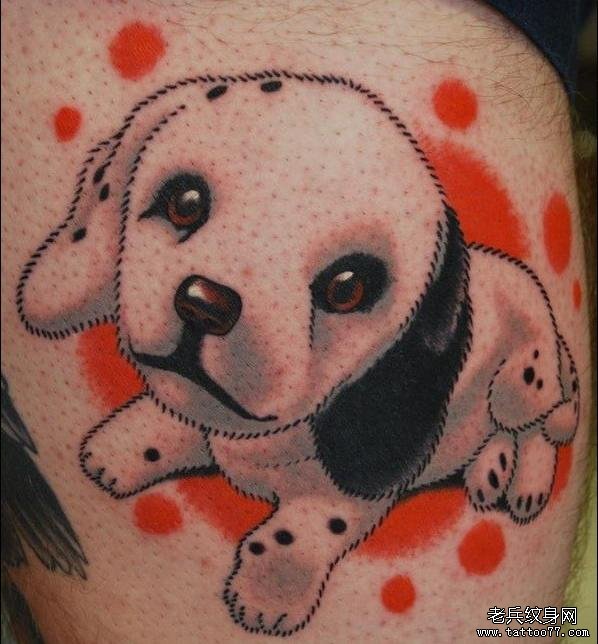 可爱的一款斑点狗给大家