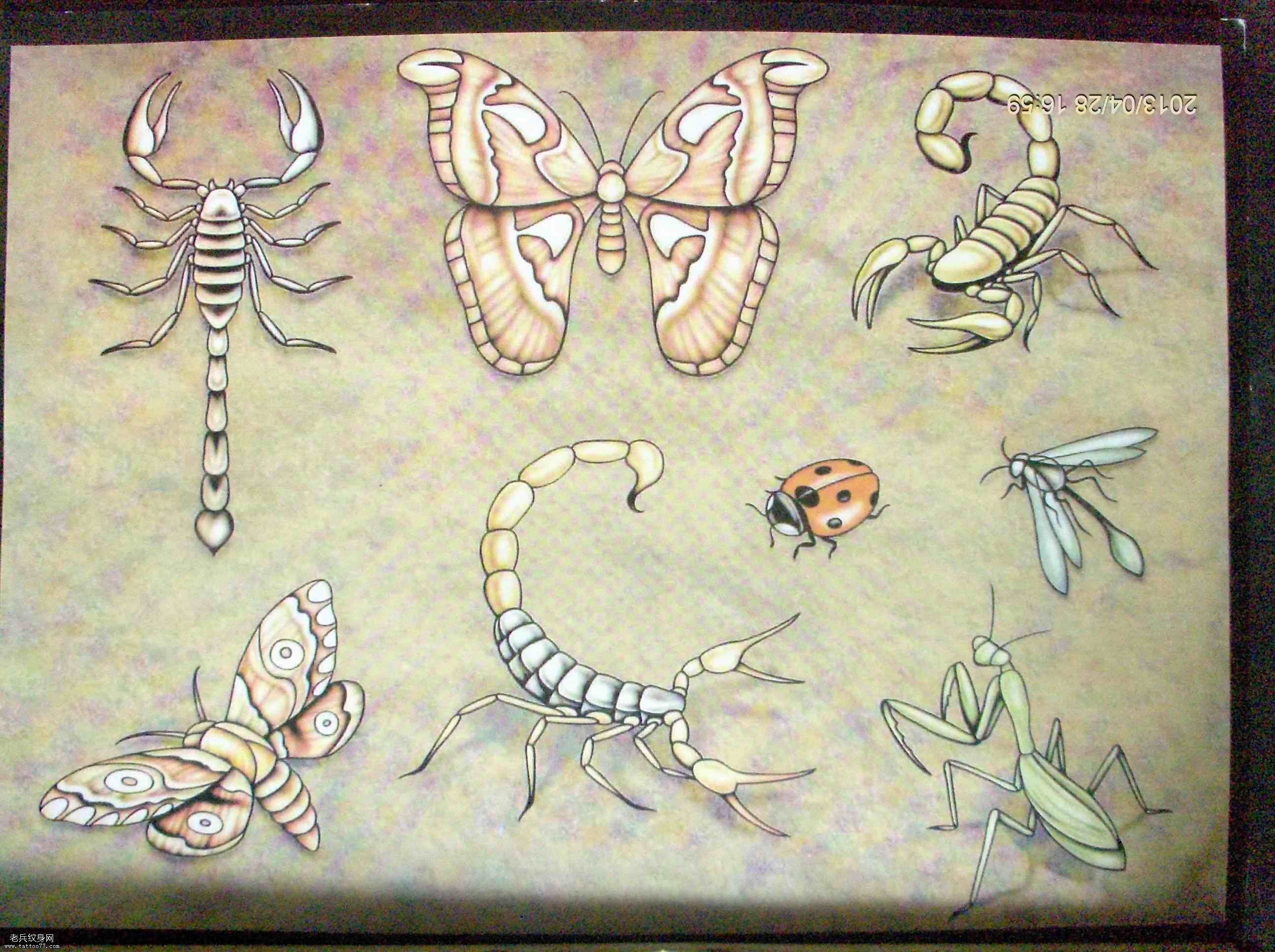 给大家一款蝎子纹身图案