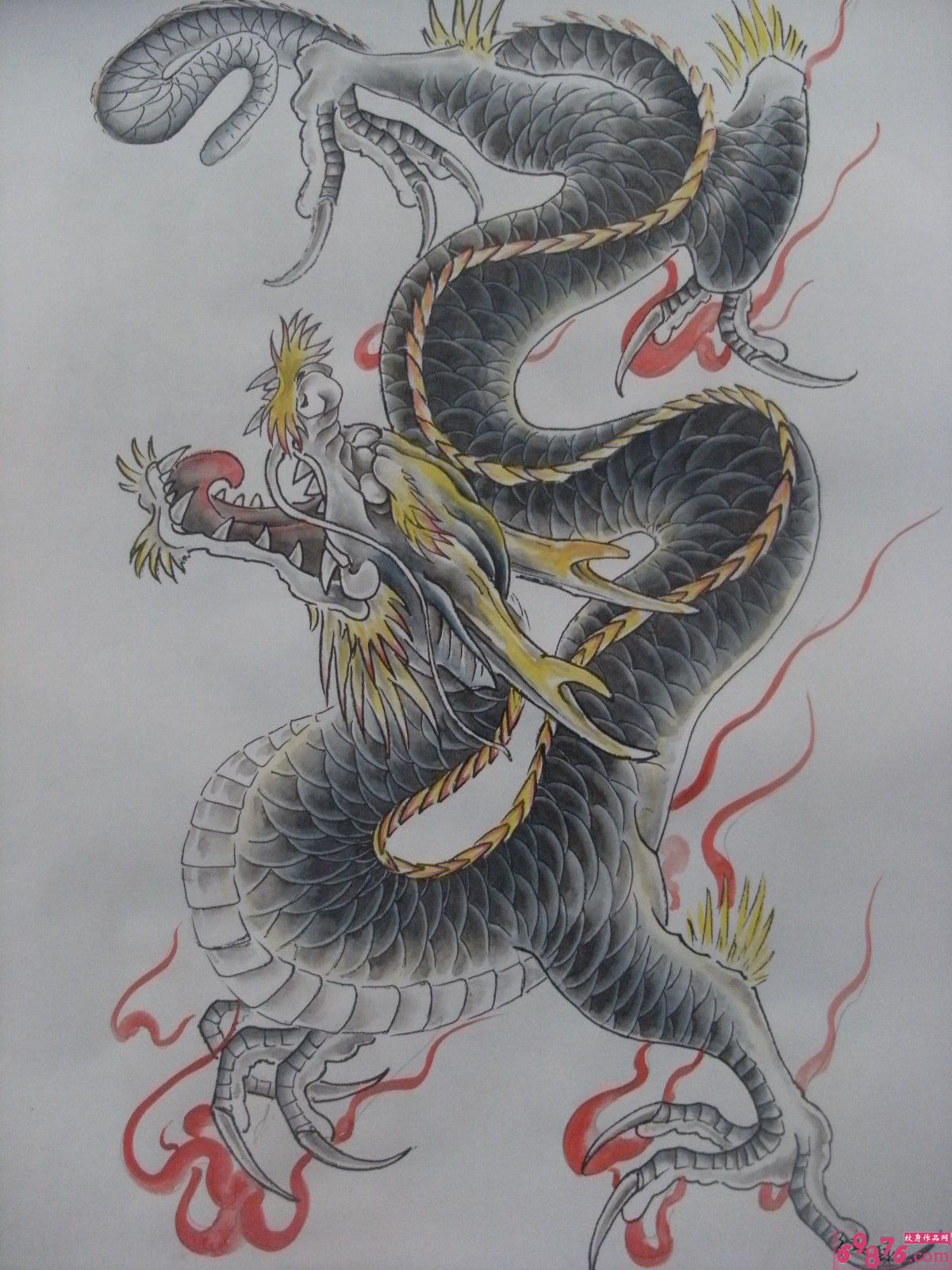 彩色的龙纹身手稿图片