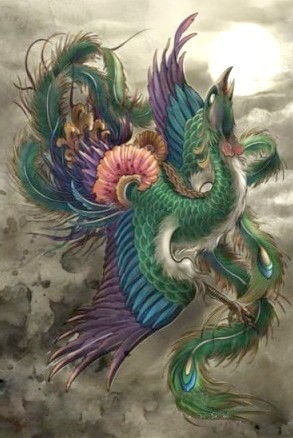 彩色凤凰纹身手稿图片