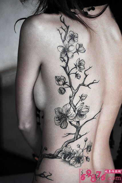 美女背部性感梅花纹身