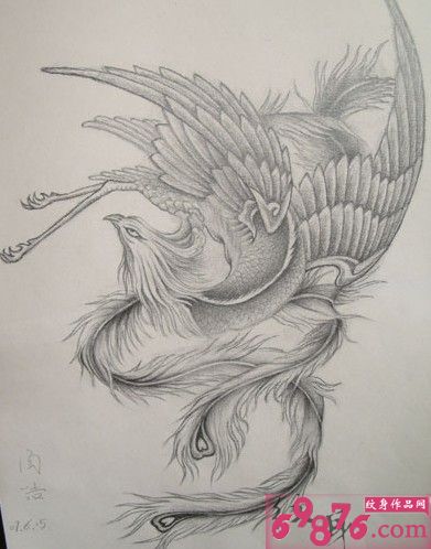 凤凰纹身手稿图片