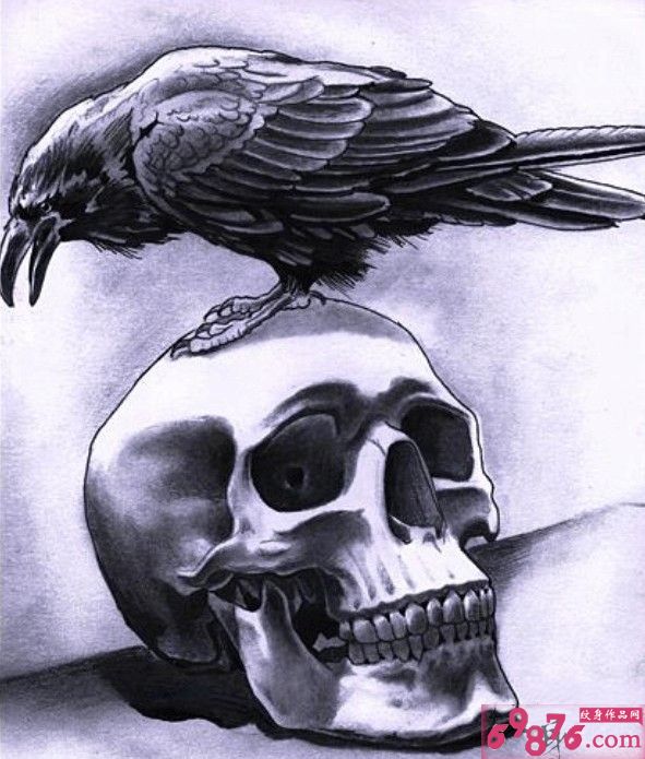 乌鸦骷髅纹身手稿图片